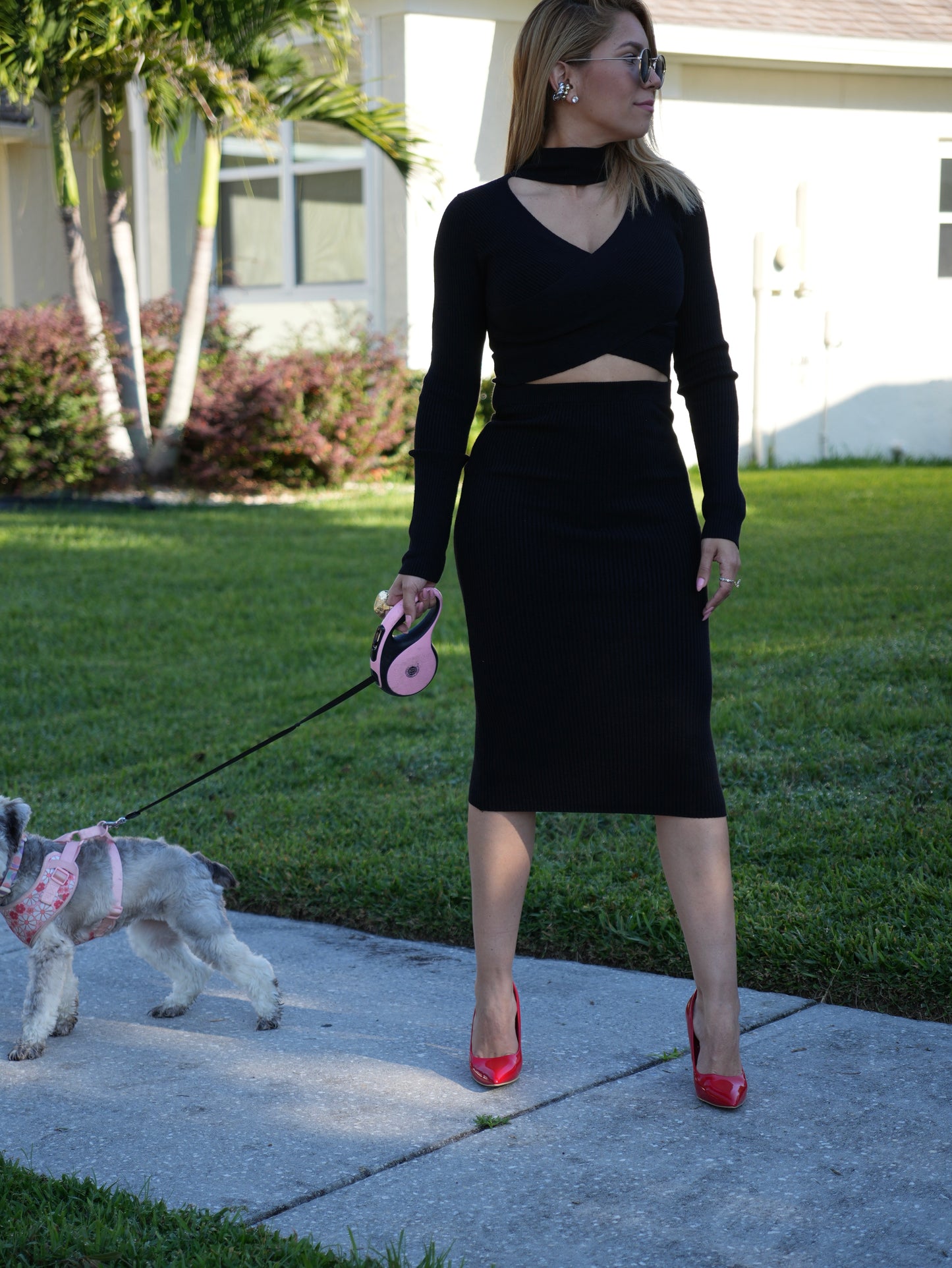 Alicia Dress