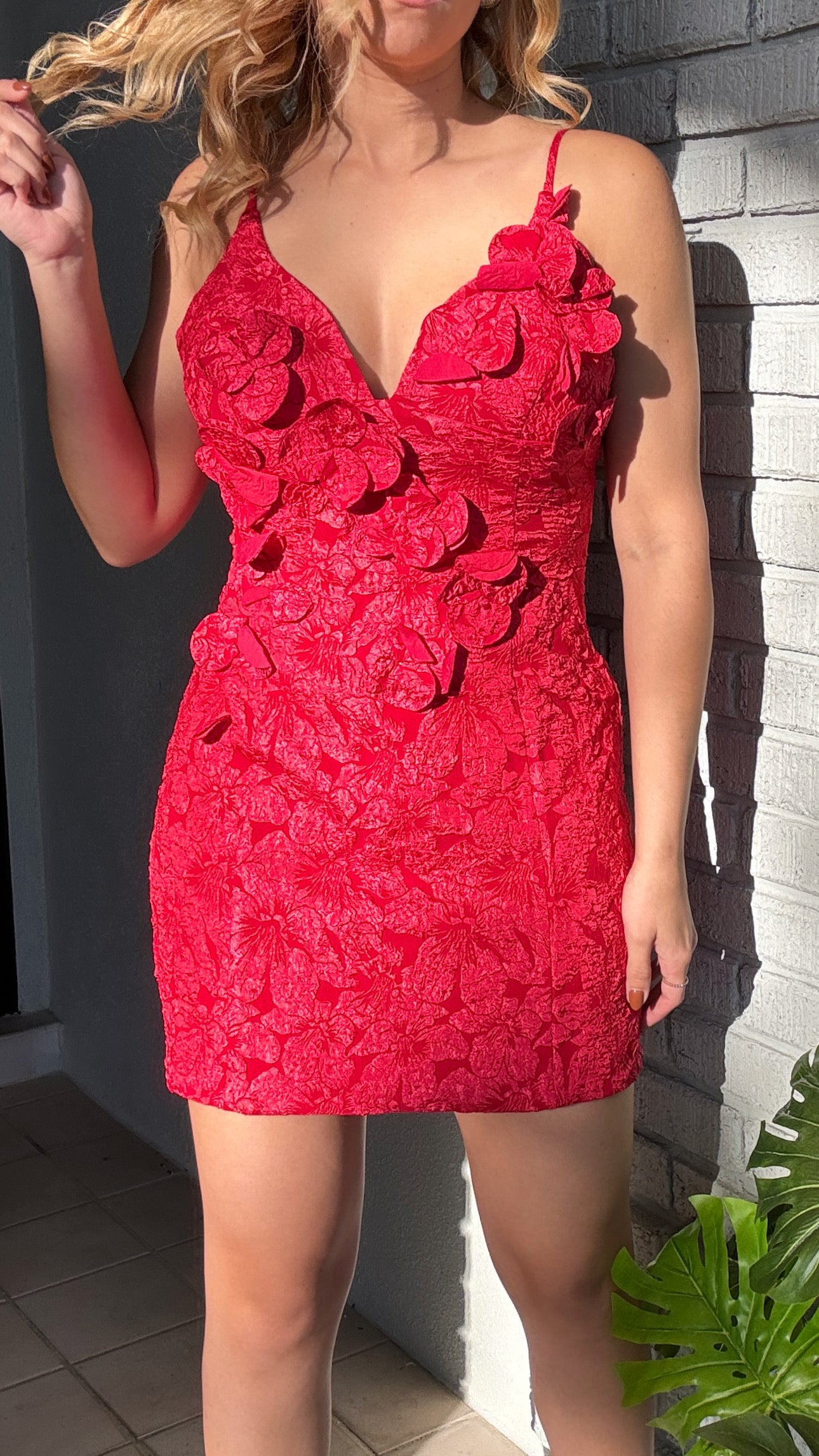 Divina Red Dress