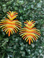 Coco palm earrings (orange)