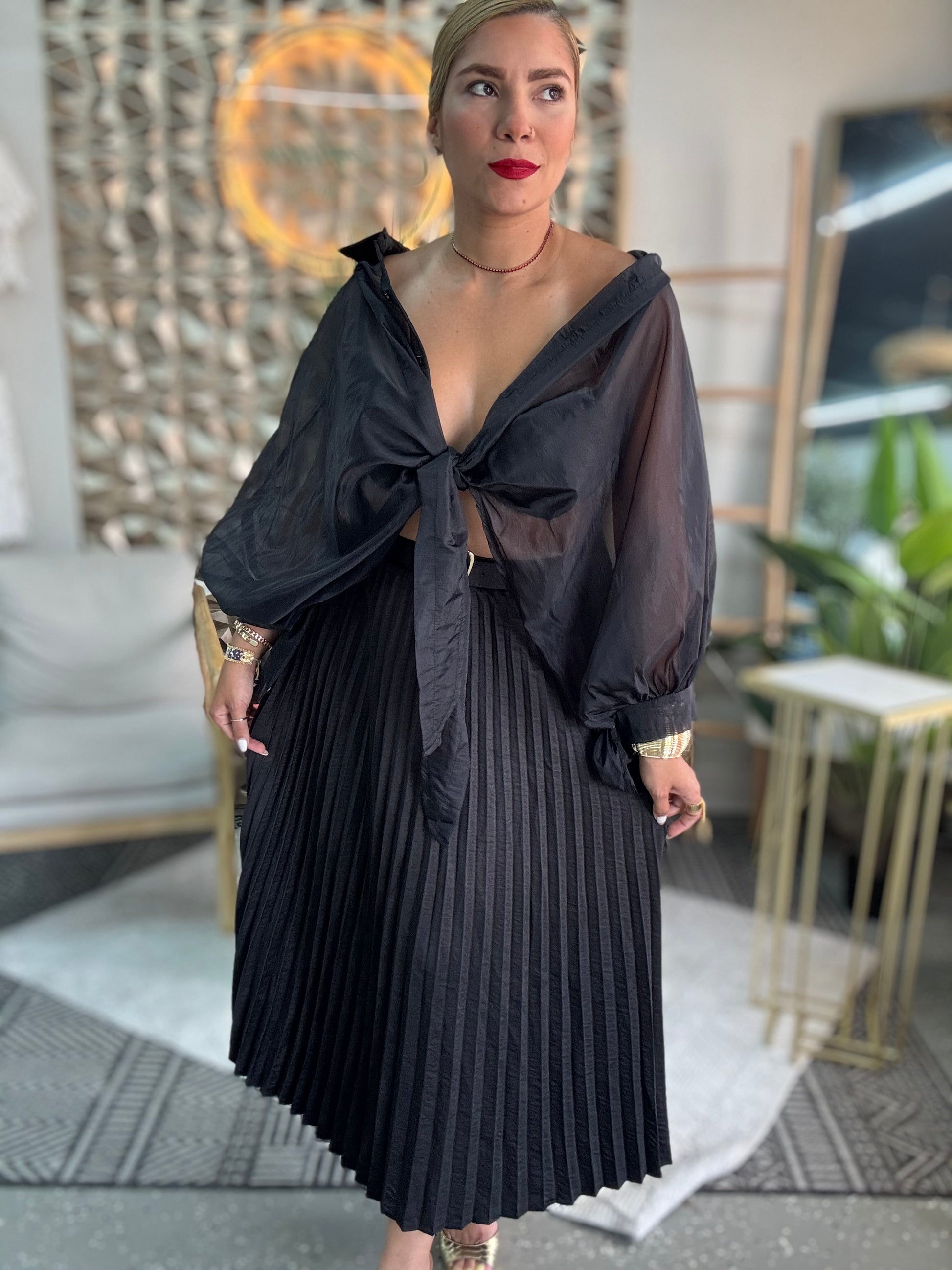 Luxury top, dark pleated body with puff sleeves and tied hood at chest